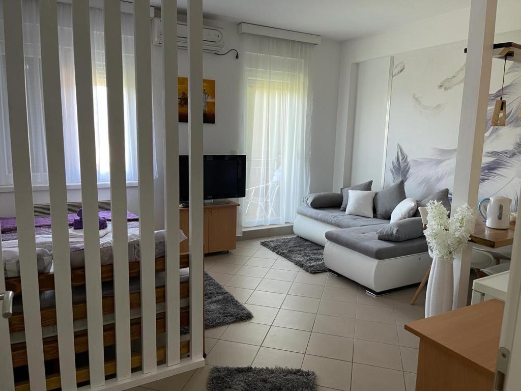 Apartman Lukic Banja Koviljača エクステリア 写真