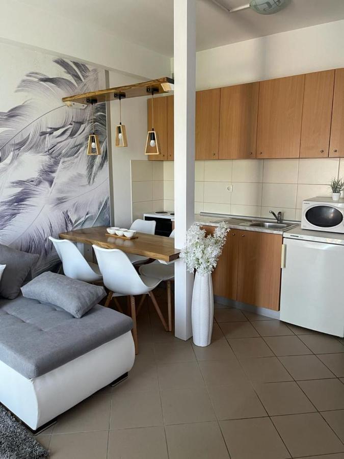 Apartman Lukic Banja Koviljača エクステリア 写真