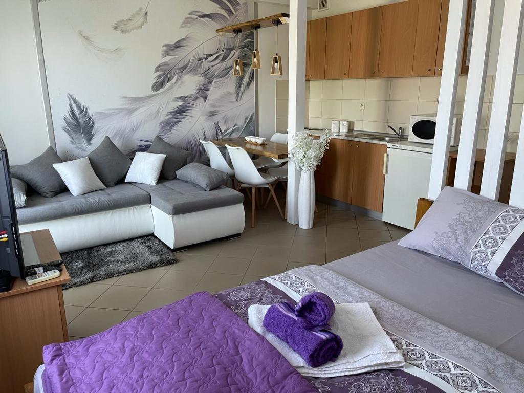 Apartman Lukic Banja Koviljača エクステリア 写真