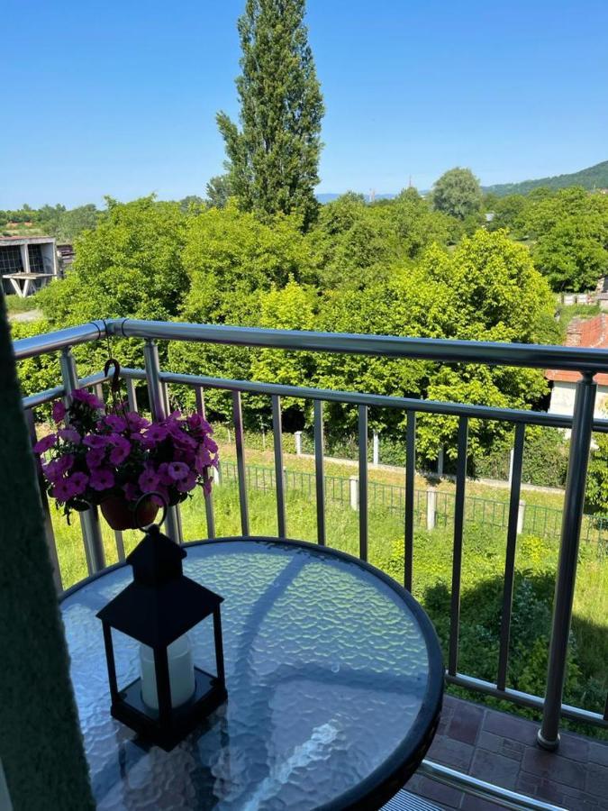 Apartman Lukic Banja Koviljača エクステリア 写真